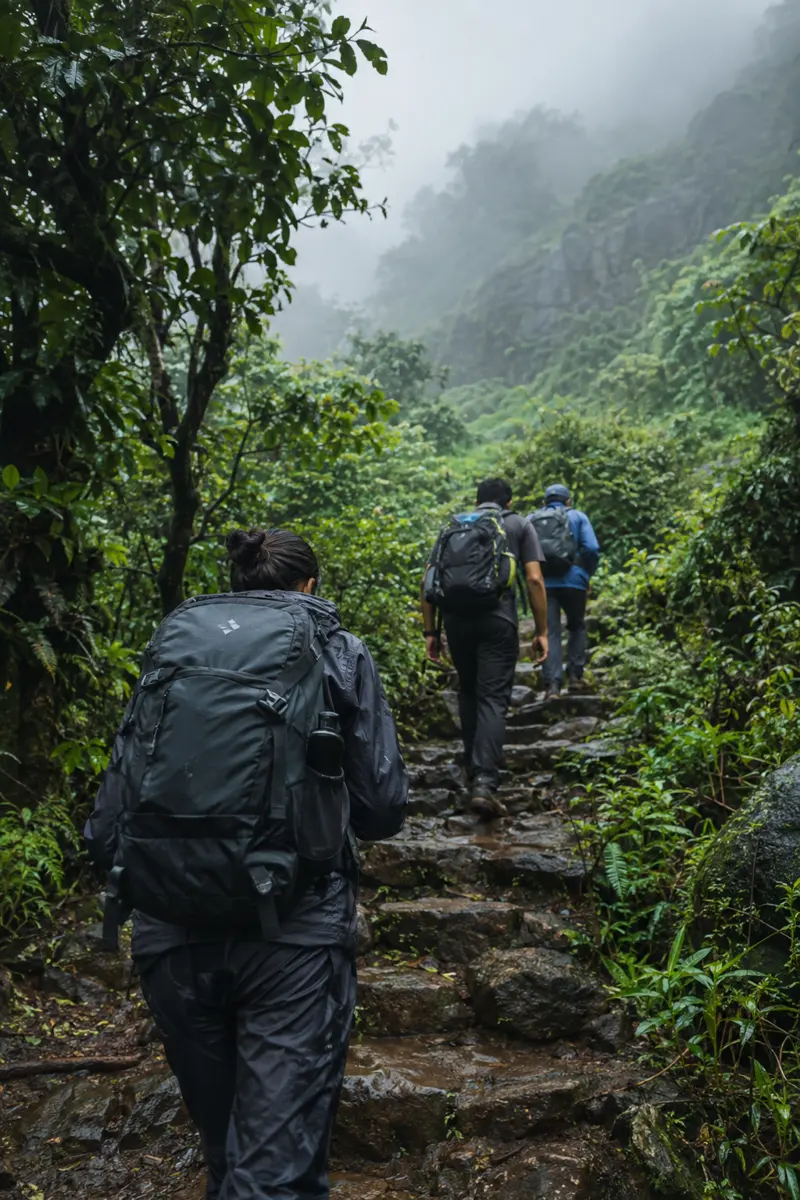 Trekkers on a forest trail with stone steps